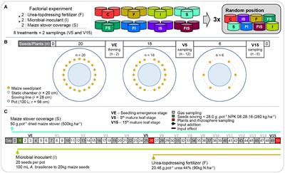 Responses of Low-Cost Input Combinations on the Microbial Structure of the Maize Rhizosphere for Greenhouse Gas Mitigation and Plant Biomass Production